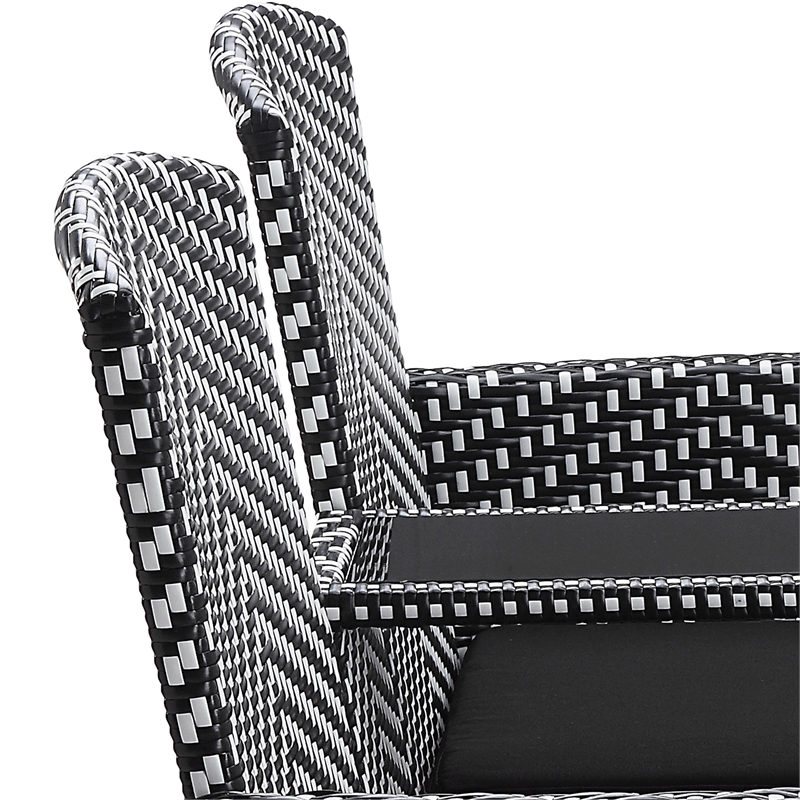 Furniture of America Azur Rattan 2-Piece Loveseat and Trash Can Set in Black