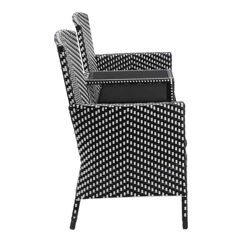 Furniture of America Azur Rattan 2-Piece Loveseat and Trash Can Set in Black