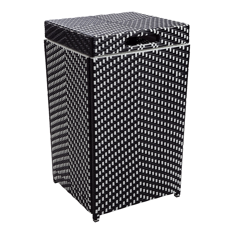 Furniture of America Azur Rattan 2-Piece Loveseat and Trash Can Set in Black