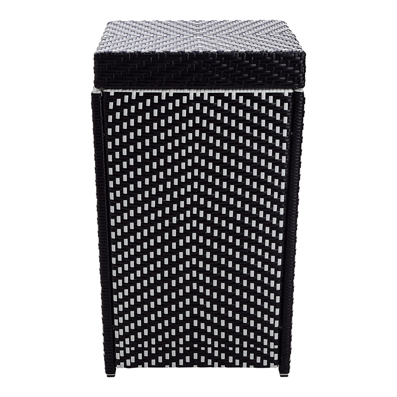 Furniture of America Azur Rattan 2-Piece Loveseat and Trash Can Set in Black
