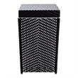 Furniture of America Azur Rattan 2-Piece Loveseat and Trash Can Set in Black