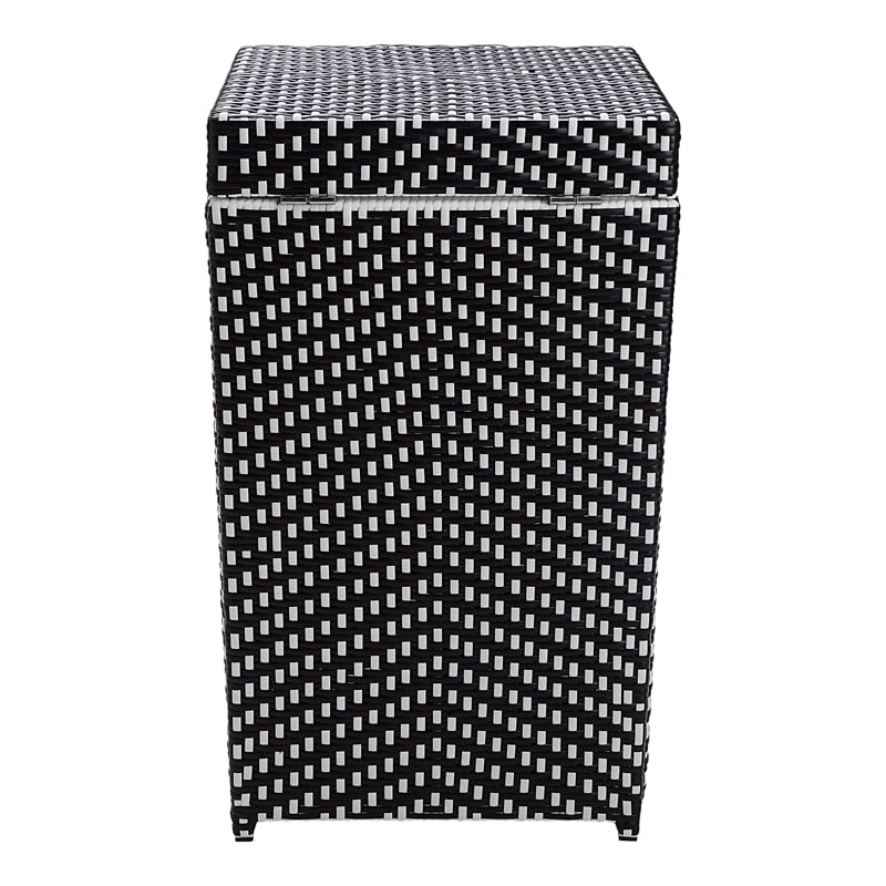 Furniture of America Azur Rattan 2-Piece Loveseat and Trash Can Set in Black