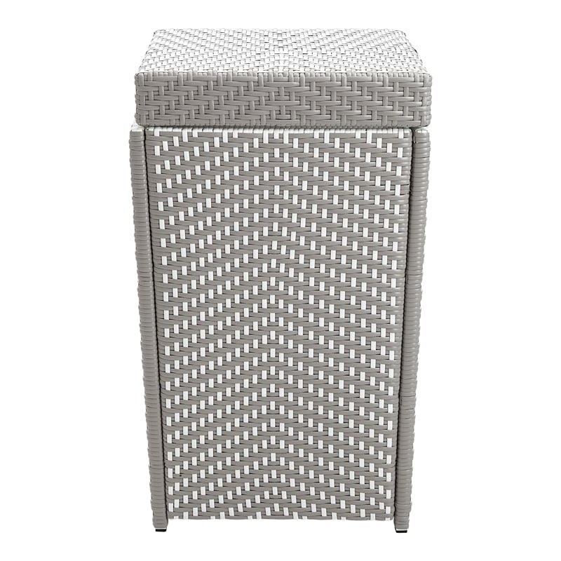Furniture of America Azur Rattan 2-Piece Loveseat and Trash Can Set in Gray