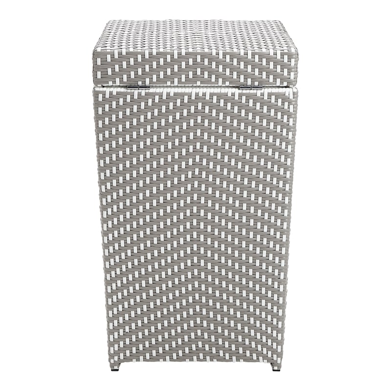 Furniture of America Azur Rattan 2-Piece Loveseat and Trash Can Set in Gray