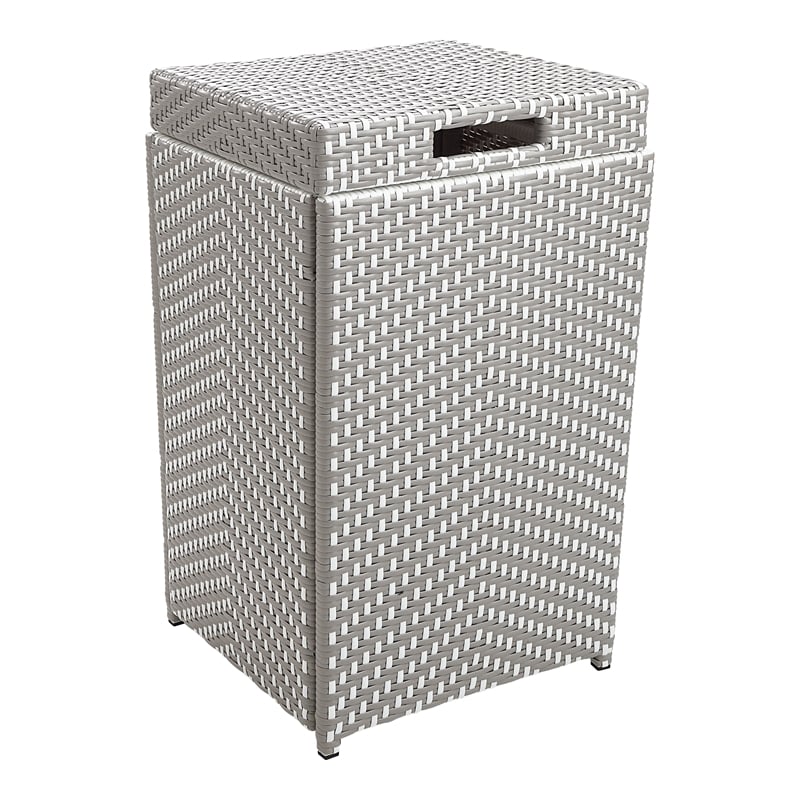 Furniture of America Azur Rattan 2-Piece Loveseat and Trash Can Set in Gray