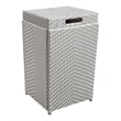 Furniture of America Azur Rattan 2-Piece Loveseat and Trash Can Set in Gray