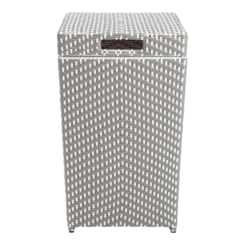 Furniture of America Azur Rattan 2-Piece Loveseat and Trash Can Set in Gray