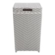 Furniture of America Azur Rattan 2-Piece Loveseat and Trash Can Set in Gray