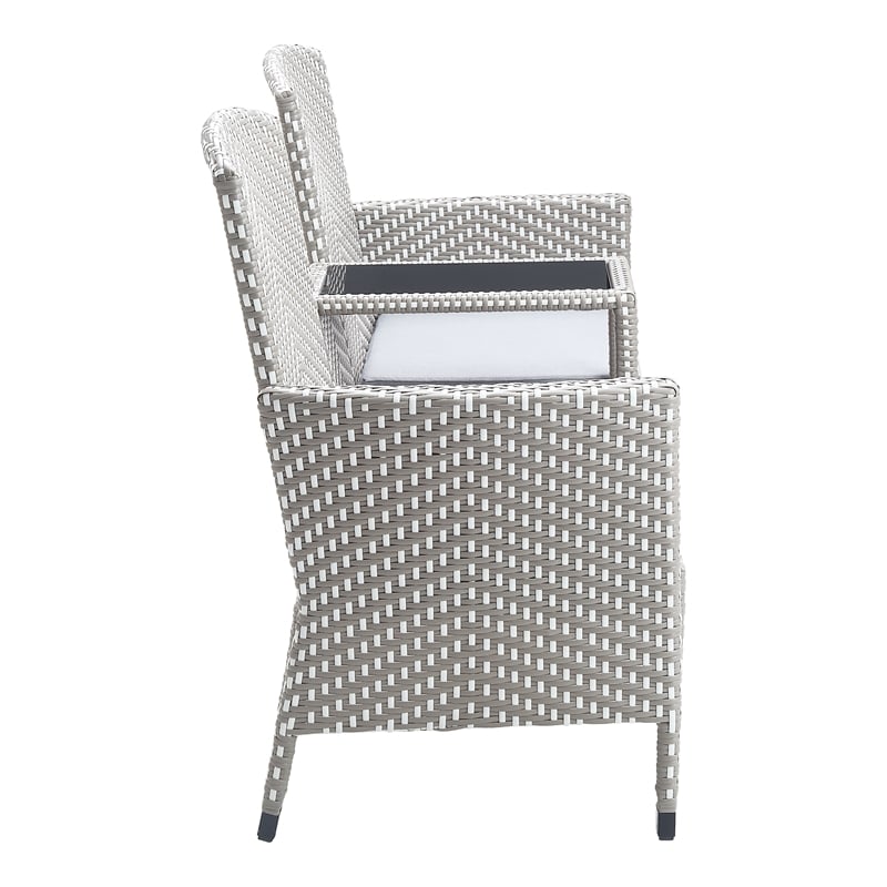 Furniture of America Azur Rattan 2-Piece Loveseat and Trash Can Set in Gray