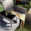 Furniture of America Azur Rattan 2-Piece Loveseat and Storage Bench Set in Gray