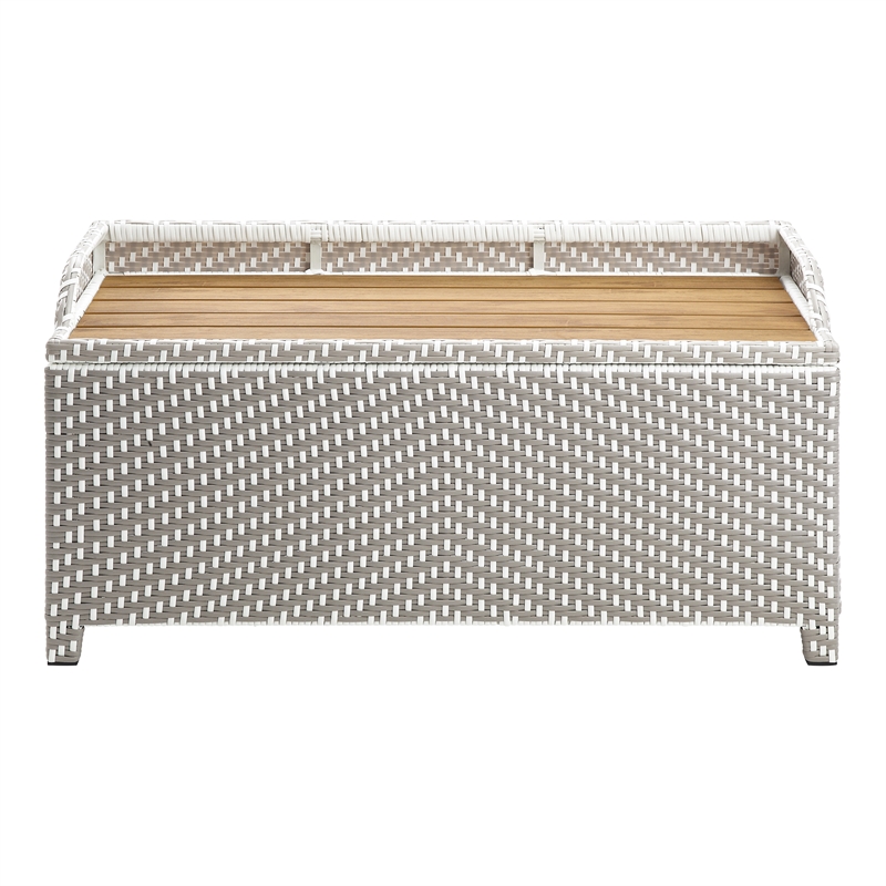 Furniture of America Azur Rattan 2-Piece Loveseat and Storage Bench Set in Gray