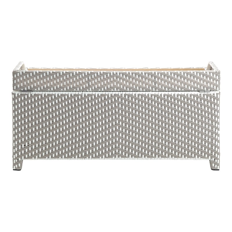Furniture of America Azur Rattan 2-Piece Loveseat and Storage Bench Set in Gray