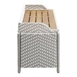 Furniture of America Azur Rattan 2-Piece Loveseat and Storage Bench Set in Gray