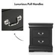 Furniture of America Toni Wood 2-Drawer Nightstand in Black (Set of 2)