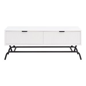 Furniture of America Gleb Wood Storage 2-Drawer Coffee Table in White Pure