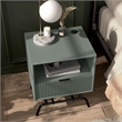 Furniture of America Gleb Wood Storage End Table with USB Port in Sage Green