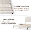 Furniture of America Lila Boucle Fabric Mattress Ready Queen Bed in White