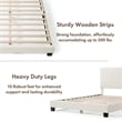 Furniture of America Lila Boucle Fabric Mattress Ready Queen Bed in White