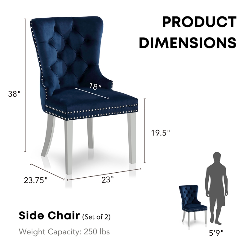 Furniture of America Swata Fabric Tufted Dining Chair in Black (Set of 2)