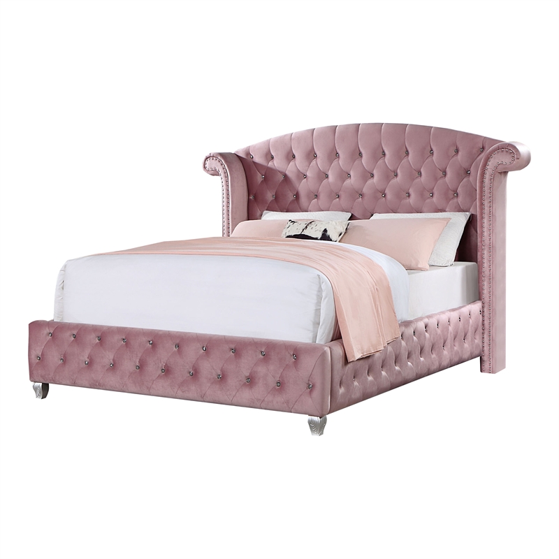 Furniture of America Gijit Wingback Tufted Fabric Queen Bed in Pink