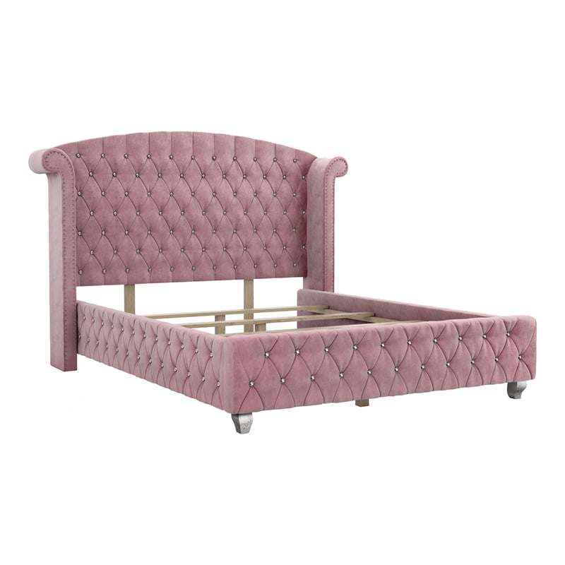 Furniture of America Gijit Wingback Tufted Fabric Queen Bed in Pink