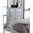 Furniture of America Pappa 5-Drawer Solid Wood Chest in Silver