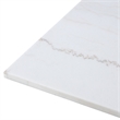 Furniture of America Dramun Marble Top Rectangular Dining Table in White