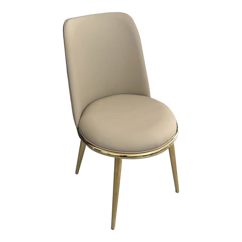 Furniture of America Agorthin Faux Leather Side Chairs in Gold (Set of 2)