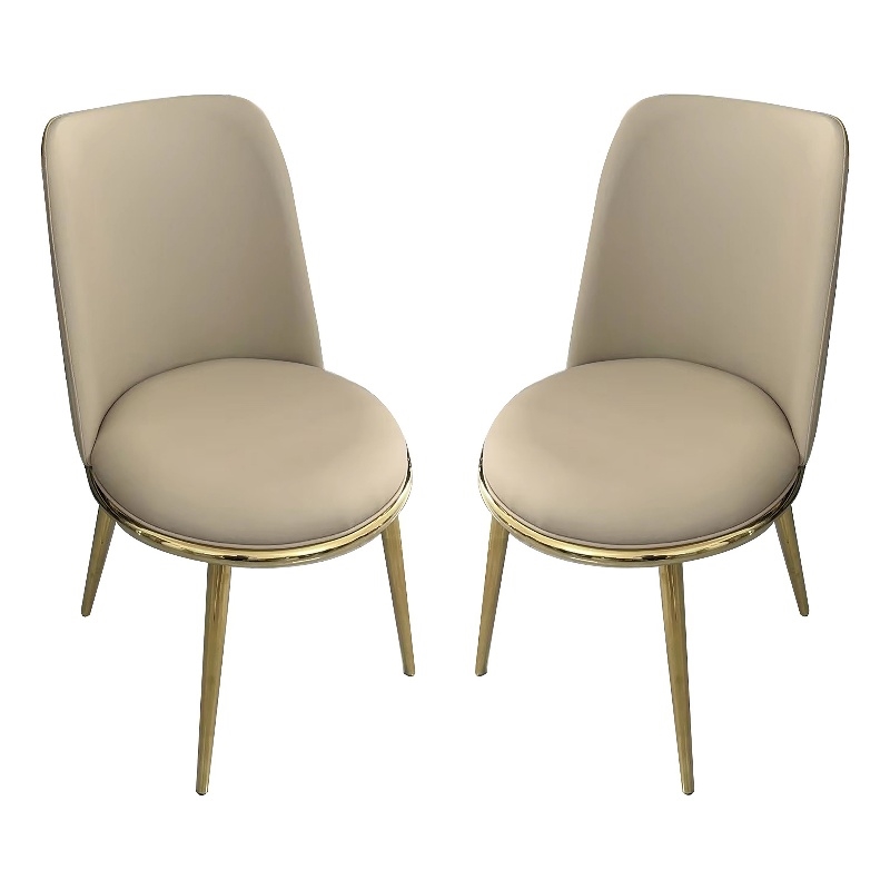 Furniture of America Agorthin Faux Leather Side Chairs in Gold (Set of 2)