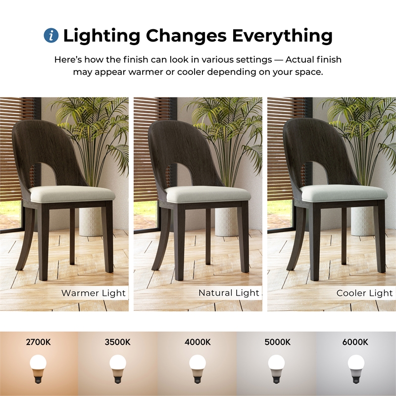 Furniture of America Lizena Solid Wood Side Chairs in Ash Gray (Set of 2)