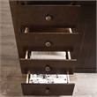 Furniture of America Lapard Solid Wood 4-Drawer Twin Bunk Bed in Espresso