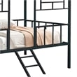 Furniture of America Natte Metal House Design Twin Loft Bed in Black
