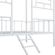 Furniture of America Natte Metal House Design Twin Loft Bed in White