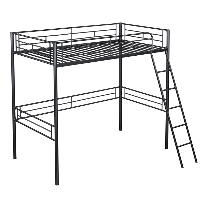 Furniture of America Irona Metal Twin Loft Bed with Angled Ladder in Black