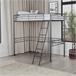 Furniture of America Irona Metal Twin Loft Bed with Angled Ladder in Black