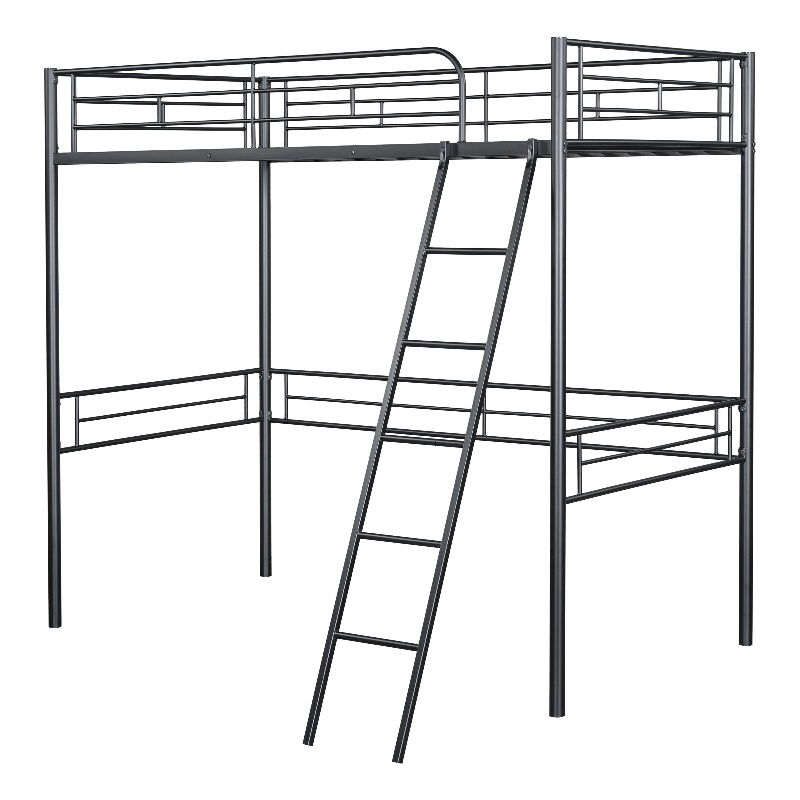 Furniture of America Irona Metal Twin Loft Bed with Angled Ladder in Black
