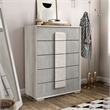 Furniture of America Sable Two Tone 5-Drawer Wood Chest in Washed White