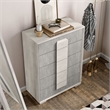 Furniture of America Sable Two Tone 5-Drawer Wood Chest in Washed White