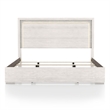 Furniture of America Sable LED Light Wood Queen Bed in Washed White