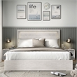 Furniture of America Sable LED Light Wood Queen Bed in Washed White