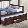 FOA Hammon Wood Twin over Full Bunk Bed with Trundle and Drawers in Dark Walnut