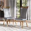 Furniture of America Netale Faux Leather Side Chairs in Gray (Set of 2)