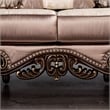 Furniture of America Haggen 2-Piece Velvet Tufted and Nailhead Sofa Set in Brown