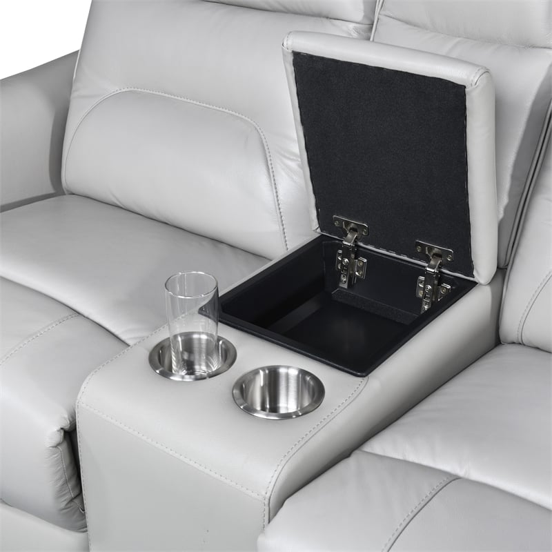 Furniture of America Dansworth Leather Storage Power Loveseat in Taupe