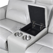 Furniture of America Dansworth 2-Piece Leather Power Sofa Set in Taupe