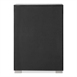 Furniture of America Loomier 5-Drawer Solid Wood Chest in Black