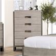 Furniture of America Yasgard 5-Drawer Solid Wood Chest in Gray