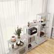 Furniture of America Seni 5-Tier 27-Inch Shelves Wood Open Bookcase in Gray