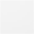 Furniture of America Arabella Wood Sleigh Panel Full Bed in White