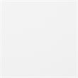 Furniture of America Arabella Wood Sleigh King Panel Bed in White